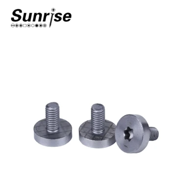 Cap Head Torx Drive Vít